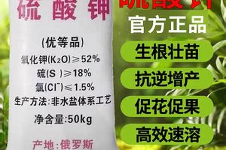葡萄上色期用什么肥料好 施肥注意事项有哪些