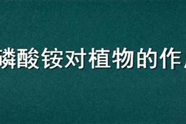 聚磷酸铵有什么好处