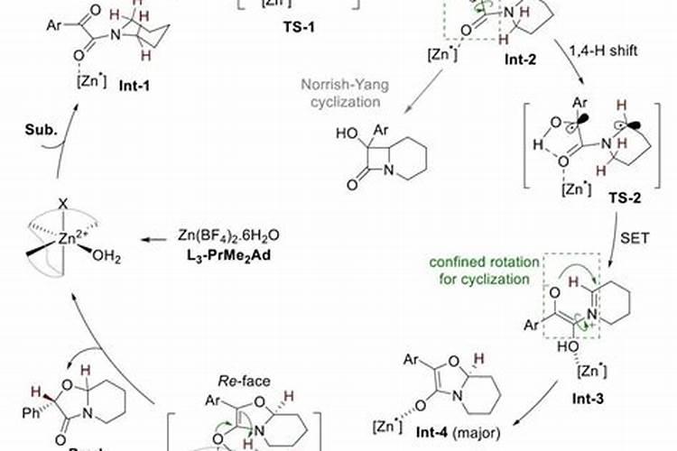 恶唑菌酮的概述