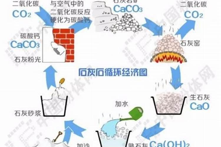 铵态氮肥与熟石灰反应