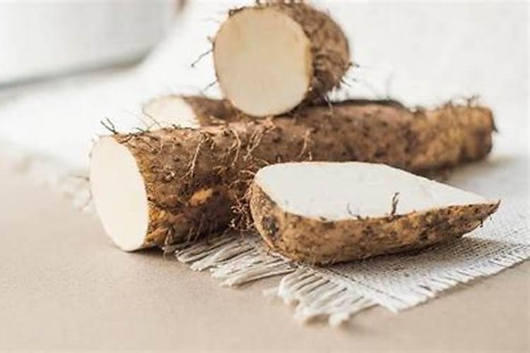 白兰花用什么肥料