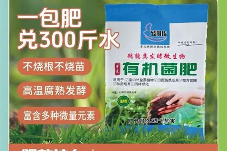√生根壮苗微生物有机肥裁红薯苗怎么用？