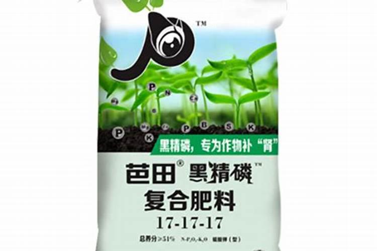 田园甘蔗种植一般从什么开始 什么时间种甘蔗怎样种