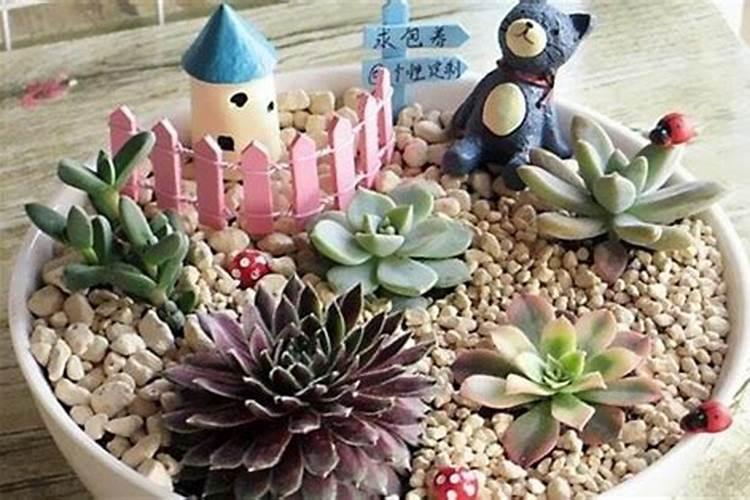西农668小麦品种介绍