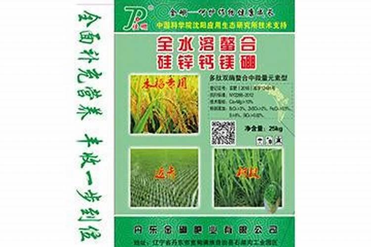 蓝莓换土时间和方法