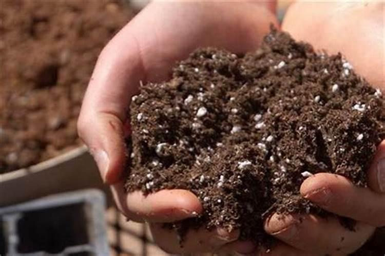 大蒜用什么肥料好？大蒜用什么叶面肥产量高？大蒜专用高产叶面肥“昆仑风...