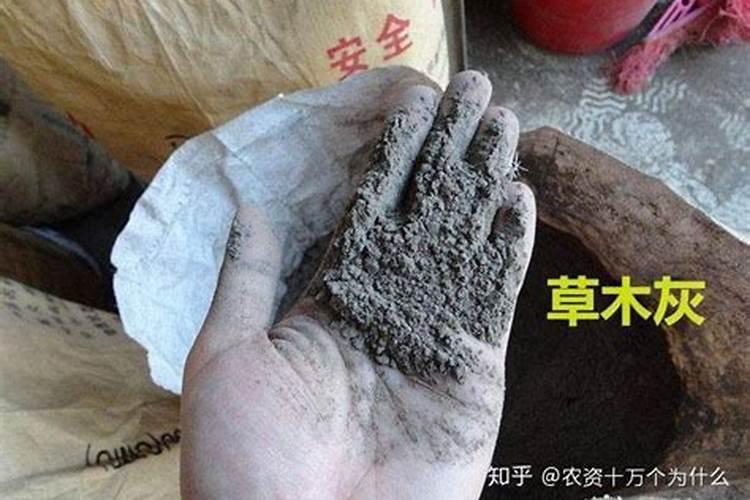得尔硼业硼肥的营养功能及施用技术