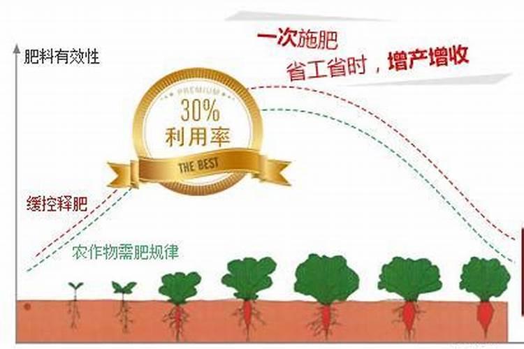 无花果一亩地种几株