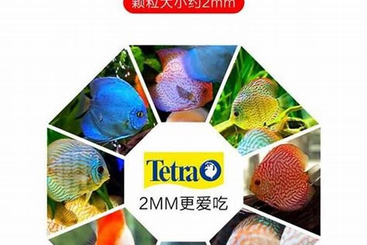 植物徒长是什么意思,多肉植物徒长的原因和解决方法