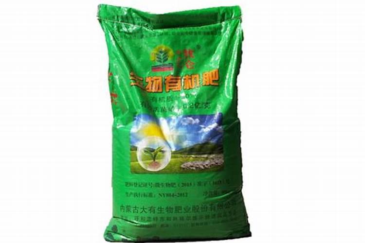 玉米缺磷时叶片会有哪些表现？应该如何补救？