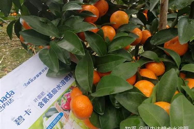 中国最好的果树叶面肥有哪些？