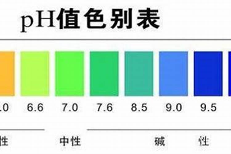 叶面肥加什么浇花最好用