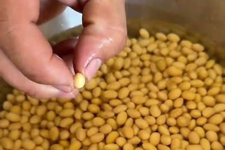 盆栽种菜如何自制肥料(盆栽种菜必备,自制肥料教程,绿色环保又高效...