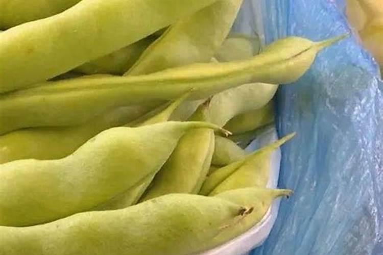 请问老师无筋豆果发白是缺肥吗？