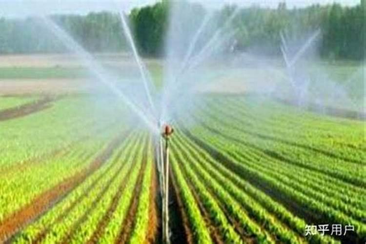 滴灌施用水溶肥时怎样才能起到最好的效果