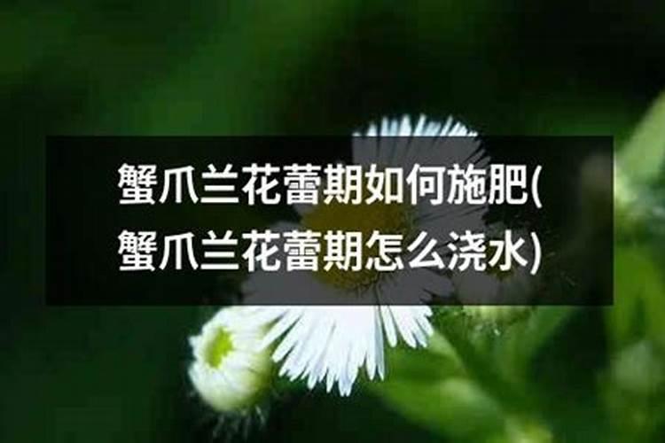 茶花开花时可以施肥吗