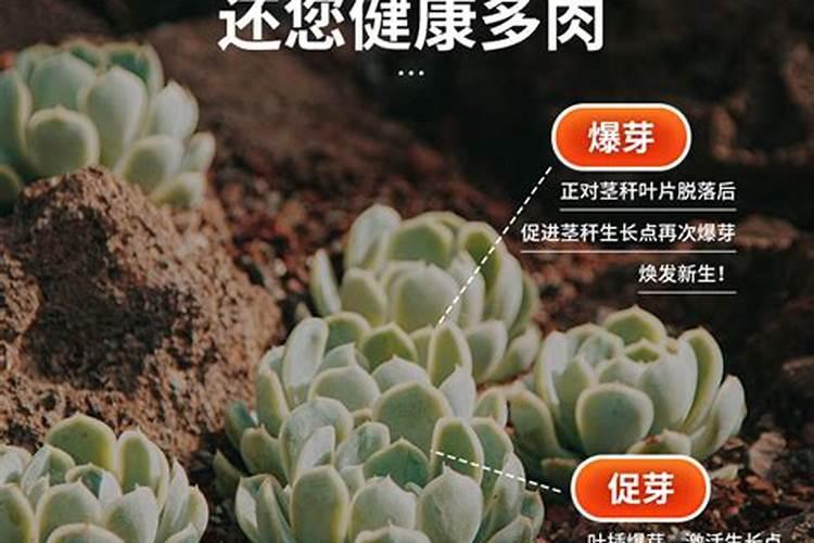 优芽素真的有用吗