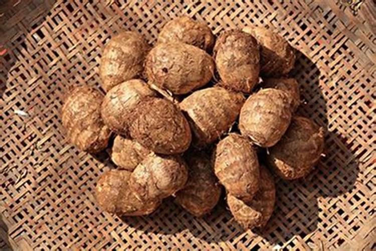 种芋头施肥的正确方法