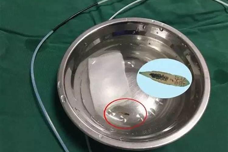 加盐会把鱼身上的蛋白虫灭掉么？