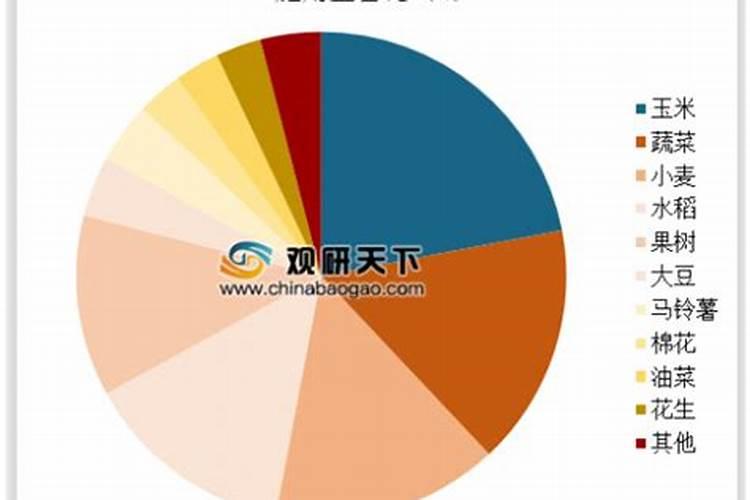富贵竹营养液滴几滴