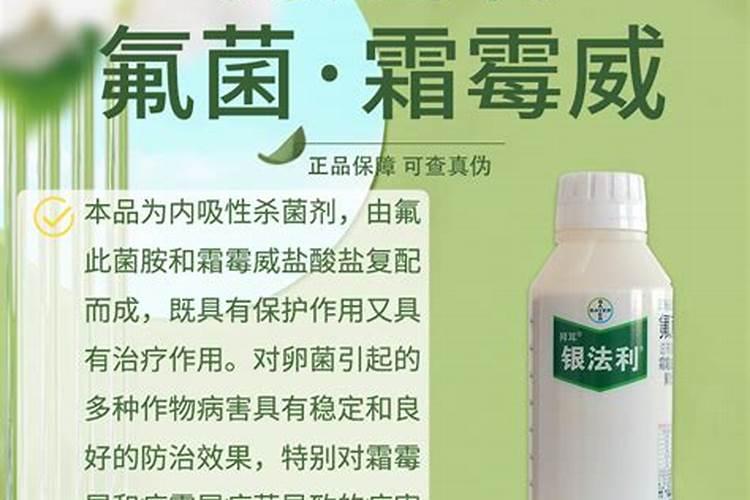 银法利可以和烯酰吗啉混用吗