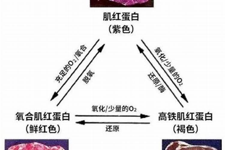 什么是鱼蛋白肥料,鱼蛋白肥料作用及