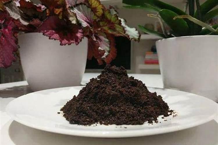 肥料放在地里会被太阳晒蒸发掉吗？