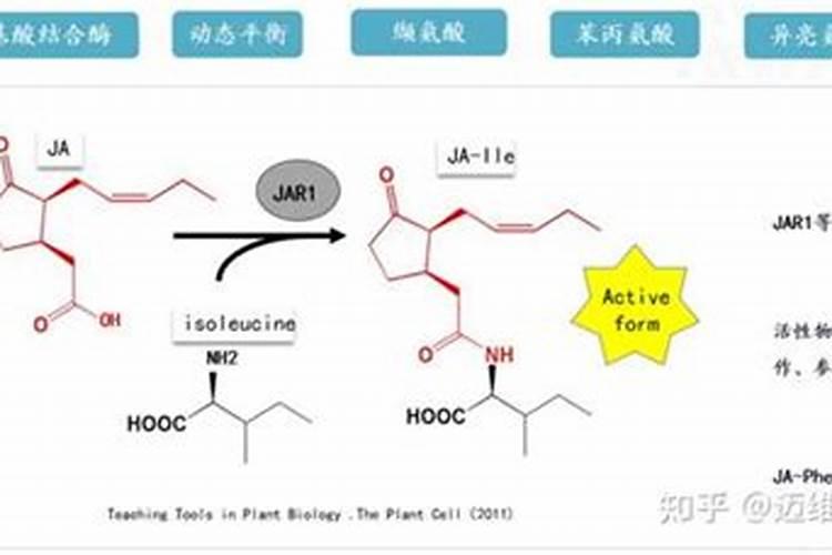 水溶肥保质期国家规定时间是多少
