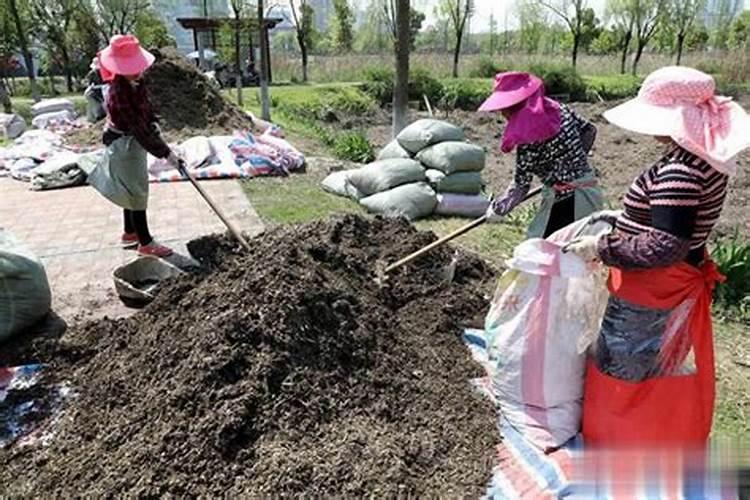 怎么用花生麸做肥料？