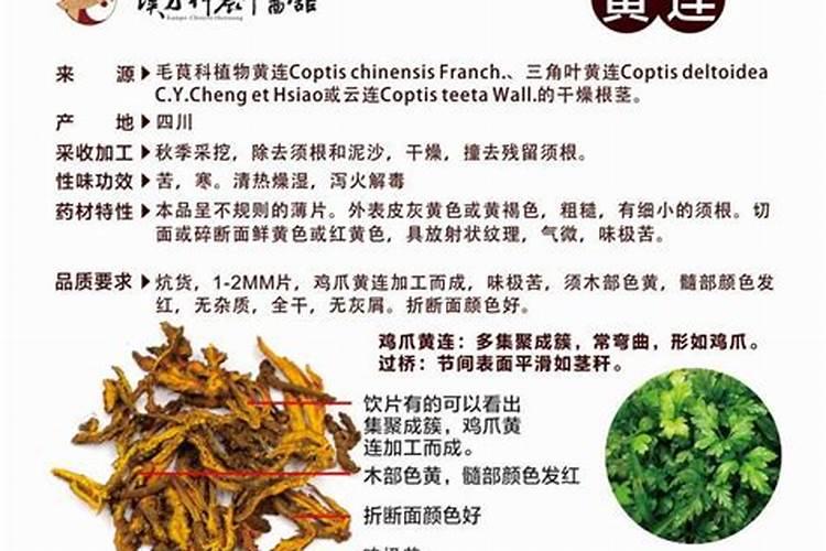 哪些钙片是有机钙