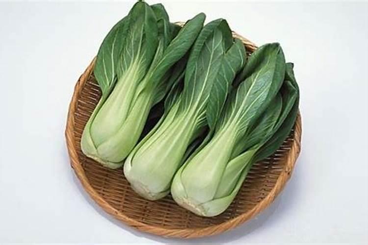 上海青追肥的方法
