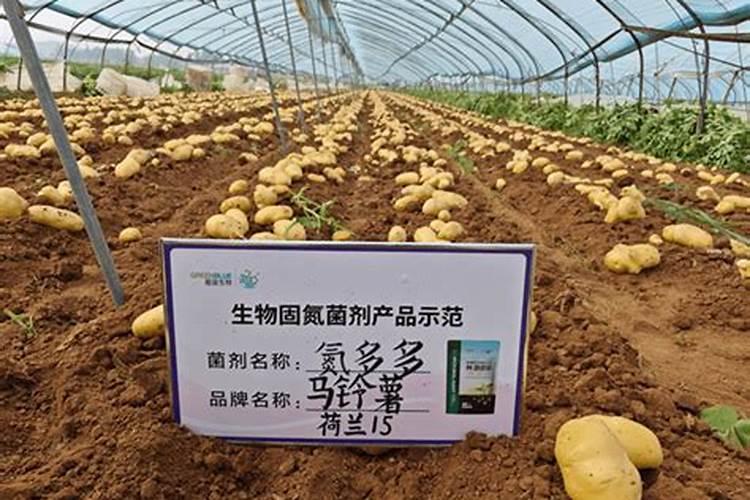氮肥的施用有哪些要求？