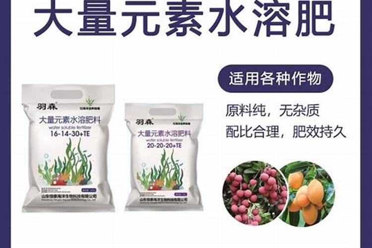 海藻肥起什么作用？