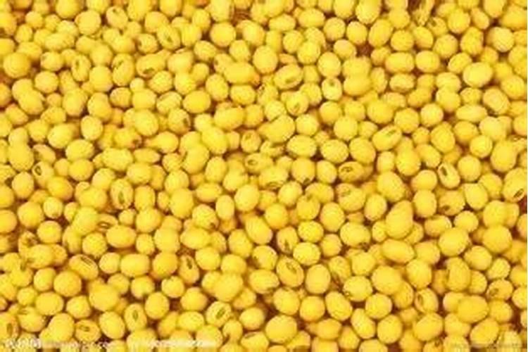 花生底肥用什么肥,花生需要什么肥料才能高产？