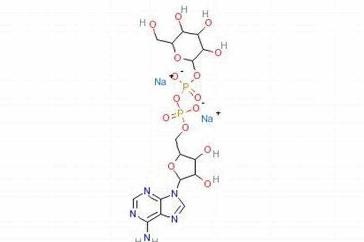 有氧呼吸三个阶段所需要的酶都是什么酶,种类都相同吗？