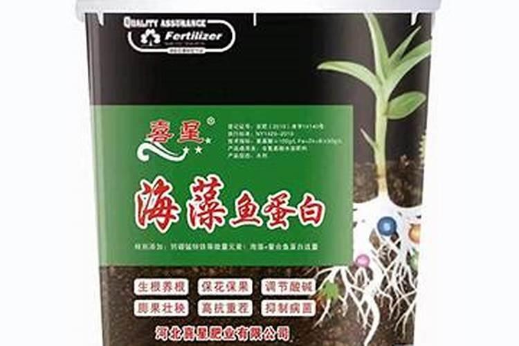 海藻鱼蛋白水溶肥料作用