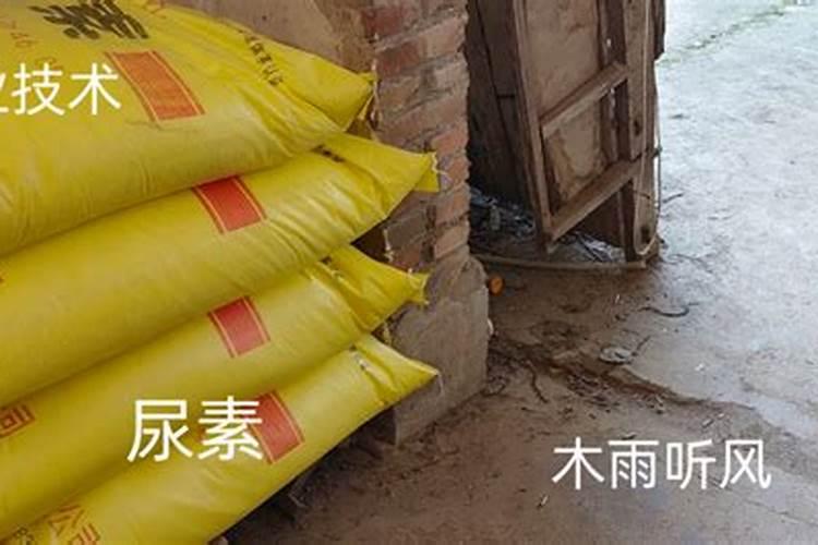 尿素氮肥使用方法