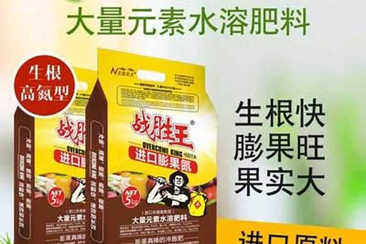 白术苗圃怎样种植