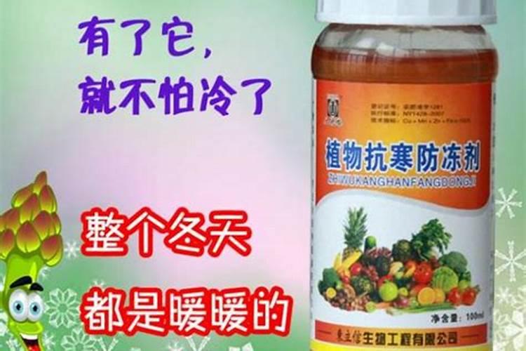 家用磷肥有哪些