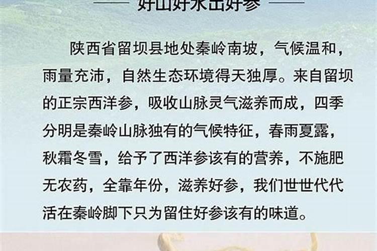 西洋参施肥应注意哪些问题？