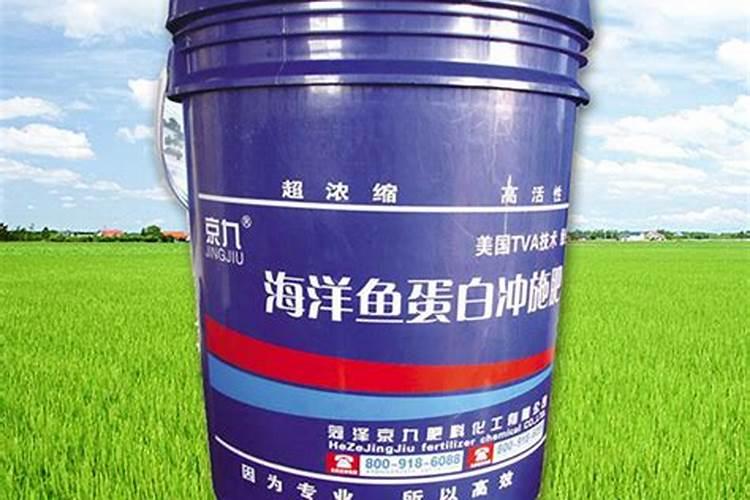 北京同仁堂蛋白质粉的功效与作用？