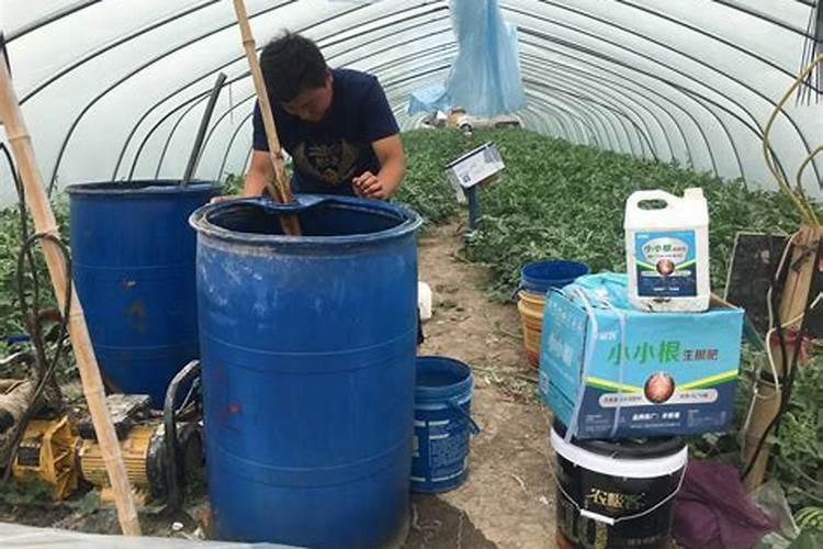 中量元素水溶肥30斤水用多少