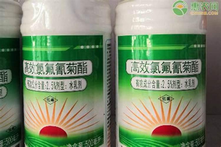 花生的田间管理？