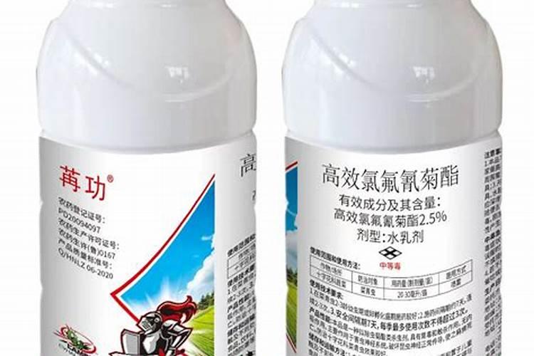 大白菜出苗期怎么管理