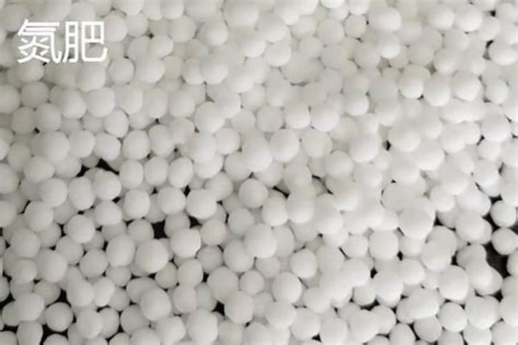 水稻种植尿素怎么使用 水稻种植尿素正确使用方法