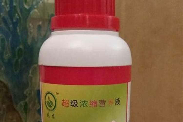 氮肥可以兑水浇花吗