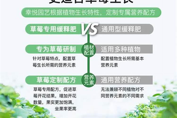 种植大棚草莓一亩地大概要多少成本呢
