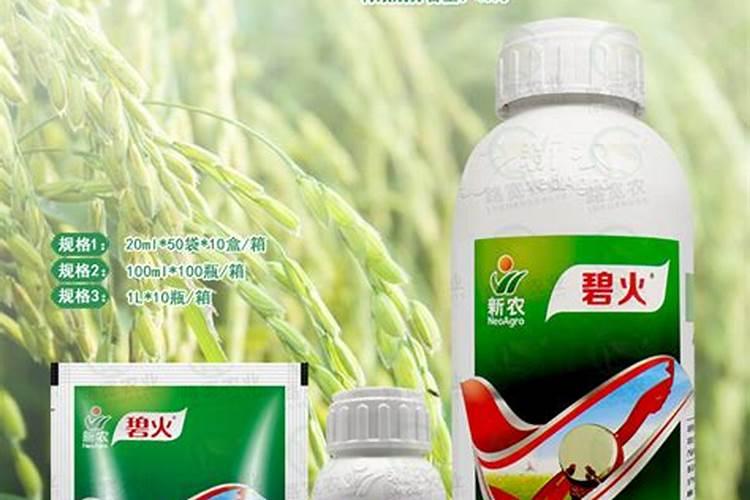 水稻稻瘟病用什么药？有哪些药剂推荐？