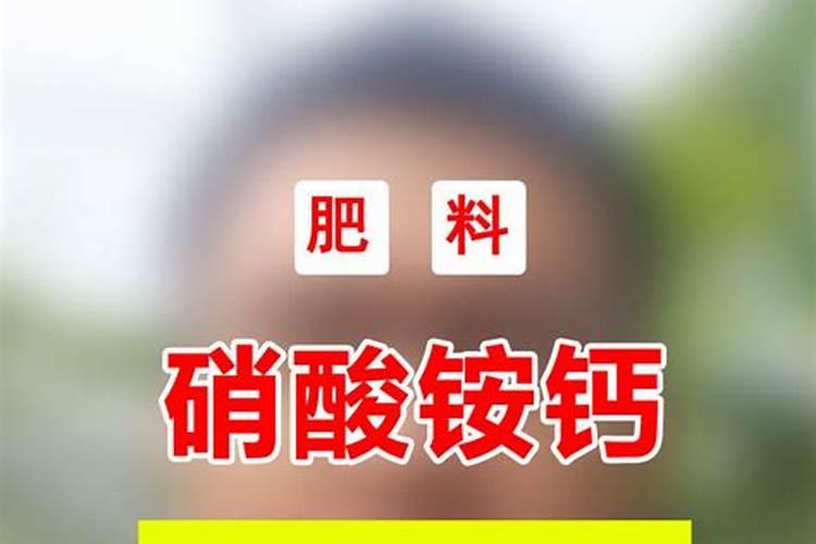 槟榔开花前施什么肥,施肥需要离树多远