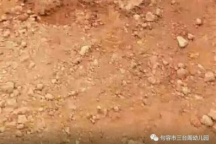 樱桃树几月份上水溶肥(樱桃树什么时候用水溶肥最好)